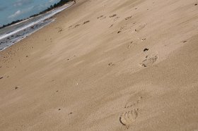 plage-iledere