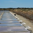 Au nord-ouest de La Rochelle reliée au continent par un pont de 3km l’ile de Ré s’étend à perte de vue sur l’océan (30 km de long et 50 m […]