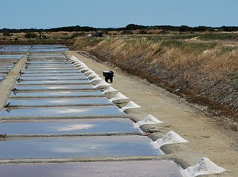 Au nord-ouest de La Rochelle reliée au continent par un pont de 3km l’ile de Ré s’étend à perte de vue sur l’océan (30 km de long et 50 m...