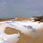 La plage de La Noue (Marie Brisdoux)