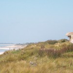 Plage du Bois