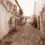 Ruelle typique de l'ile de Ré