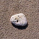 Un galet sur le sable - Fred Blum