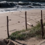 Dans les dunes - Fred Blum