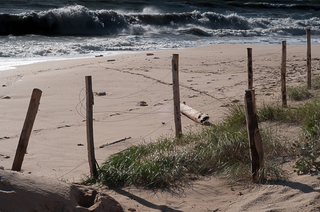 Dans les dunes - Fred Blum