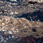 Reflets de l'océan - Fred Blum